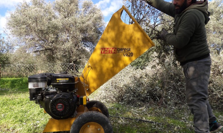 ΚΑΛΛΙΕΡΓΙΑ - ΦΡΟΝΤΙΔΑ ΤΩΝ ΕΛΑΙΟΔΕΝΤΡΩΝ